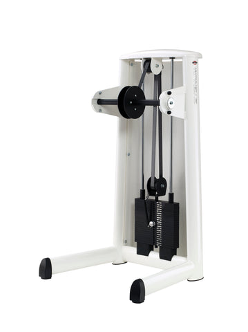 Gym80 Lower Arm Machine, Sygnum Standard